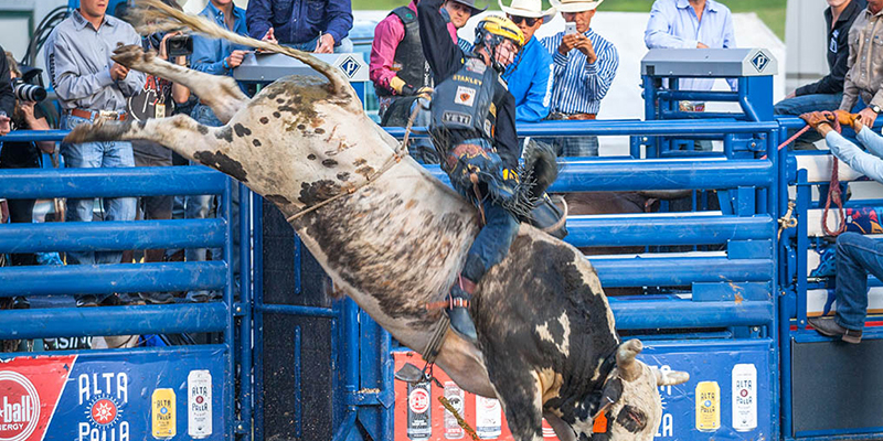 Jackson Hole PBR Happening Tonight Live Jackson Hole