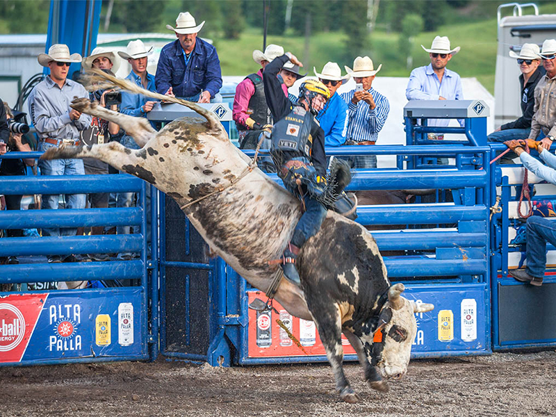 Jackson Hole PBR Happening Tonight Live Jackson Hole