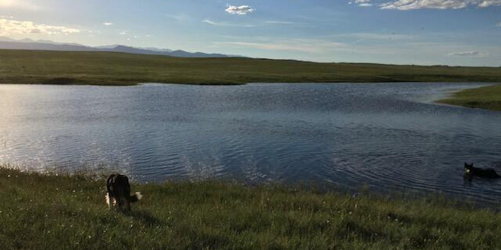 Powderhorn Ranch Live Jackson Hole
